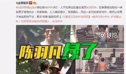 蚌埠爆料彬哥事件视频,视频揭露惊人真相